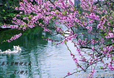 最全的《美图吧》经典语录大全