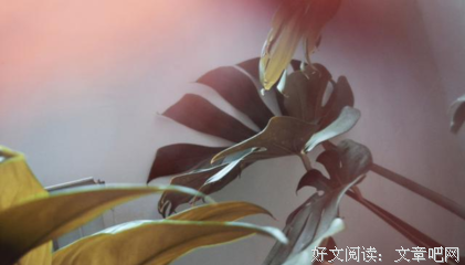 亲爱的，不要为别人而活
