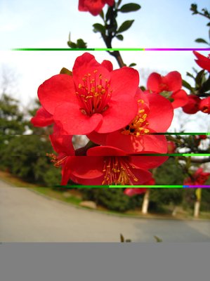 《花解语》名句欣赏