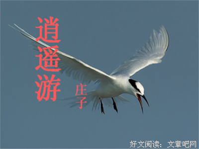 最新的《逍遥游》经典名句