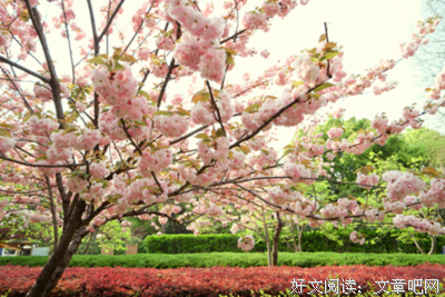 《万物生长》小说摘抄