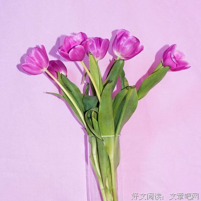 最经典的《三行情书》佳句摘抄