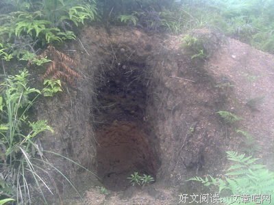 荣贵的句子