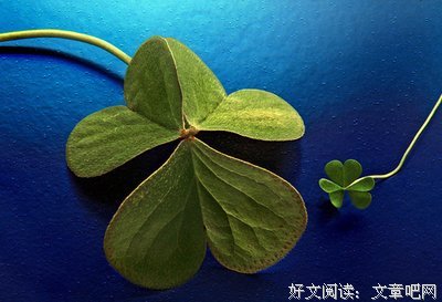 关于痛心的唯美语录