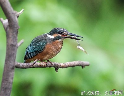 贪得无厌格言警句