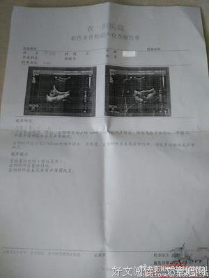 关于天良的座右铭