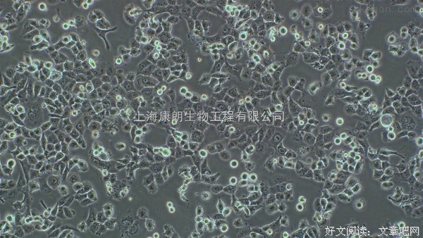 何求的句子