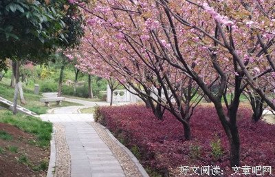 纸醉金迷的语句摘抄_关于纸醉金迷的语句