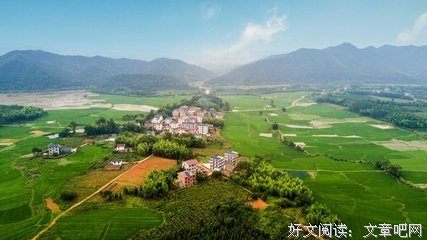 你不是独自走进荒野
