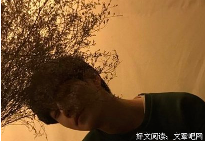 有关执迷不悟的句子