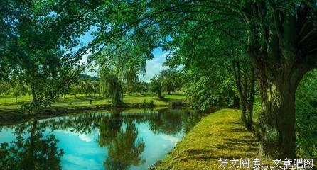 我可以一起喜欢忧伤与明媚……吧。好词好句