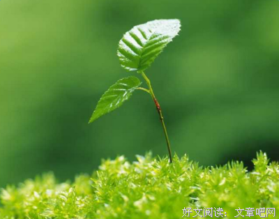时了天考句子大全