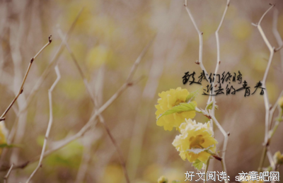 关于励志的句子