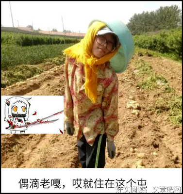 最经典的锦年名言大全