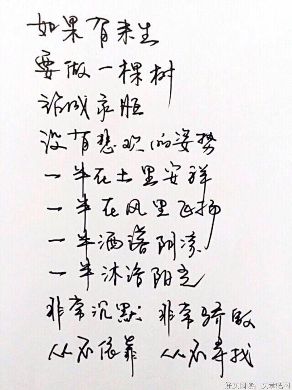 有关厉爵风经典语录