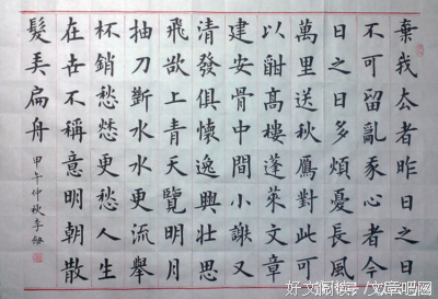 最新的伍绮诗的名句