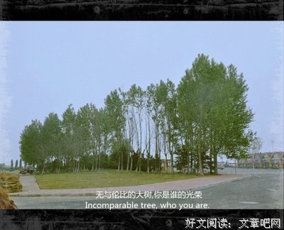 最经典的《十方一念》经典句子