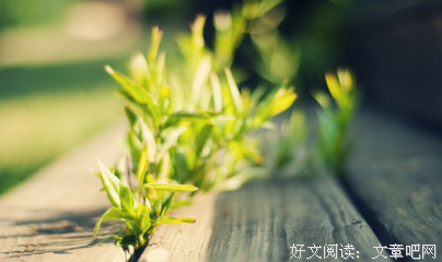 《口袋英语》佳句摘抄大全