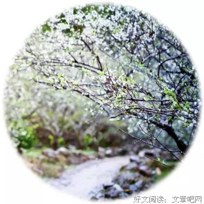 有一种人，一辈子都不会老！