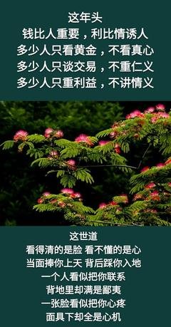 钱，是一个人最大的底气！