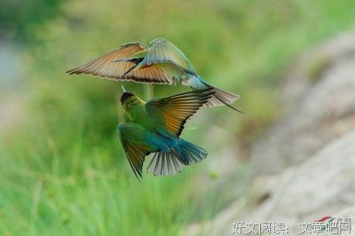 《天作之合》佳句摘抄大全