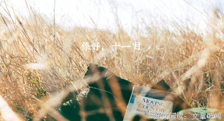 最全的《小小麦田》小说句子大全