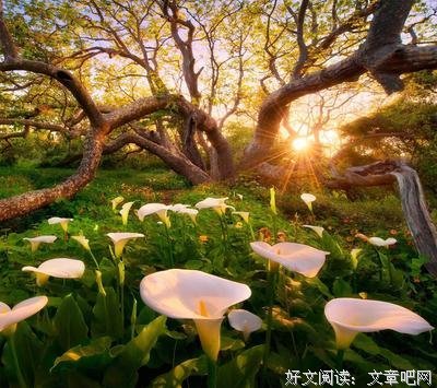 最新的《心语馨音》经典句子