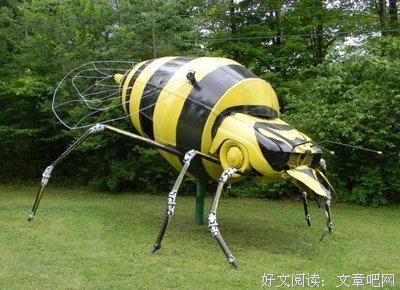 迪克的名句_关于迪克的名句