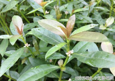 恨之入骨的句子