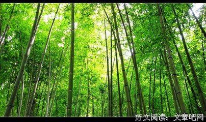 最全的我自己经典语录