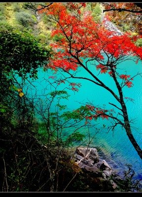 如果囧座右铭
