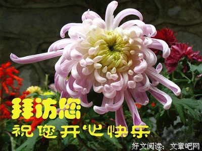 2018席慕容精彩语录