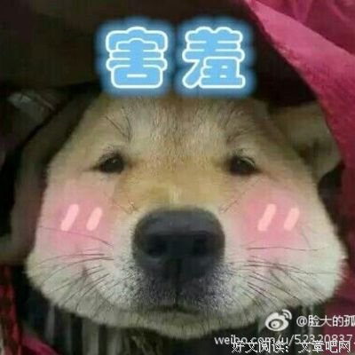 最经典的张寒寺名言