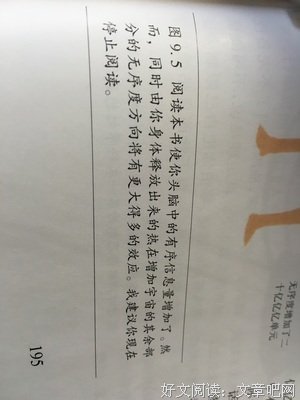最经典的《未来简史》好段摘抄大全