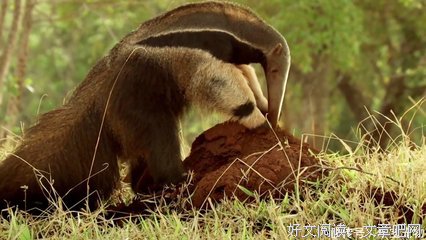 《温暖躯壳》经典语录
