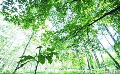 最新的《热爱生命》经典语录大全