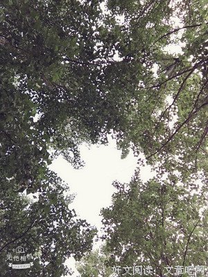 最经典的《白发皇妃》经典语句