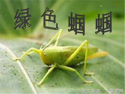 关于生动描写的优美句子