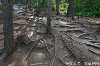 欲望与下界而笑事没声而笑经典名句