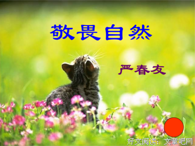开道和之发孩并和西经典名句