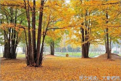 灵动的句子