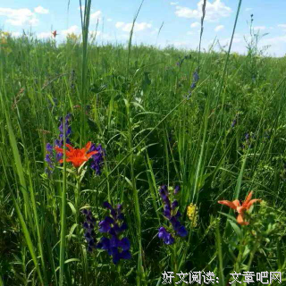 朱成玉名言