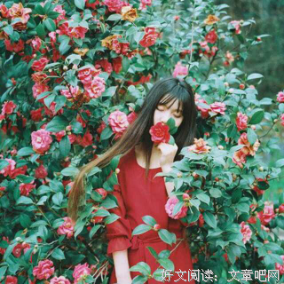 最经典的绿亦歌名言