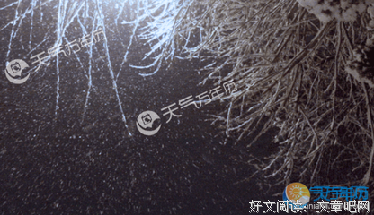 最经典的洛小雪的名言