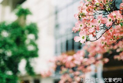 《陌上花开》经典句子