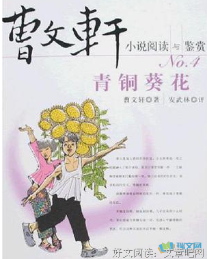 最经典的《青铜葵花》小说句子