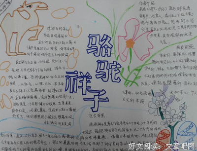 《骆驼祥子》小说句子