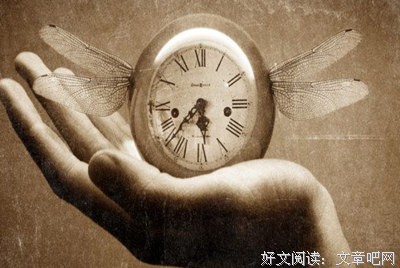 最经典的《万物的签名》经典语句大全