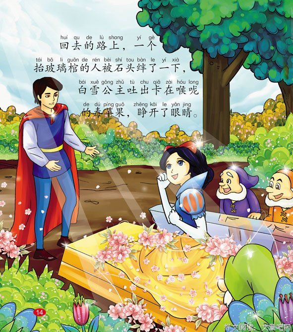 最全的《丛林有公主》小说摘抄