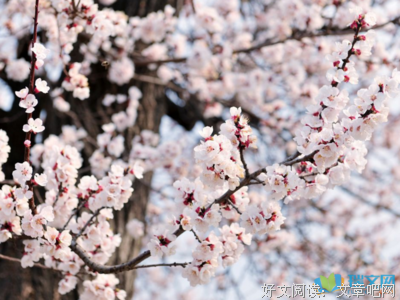 最新的《久不见天堂》经典的句子大全